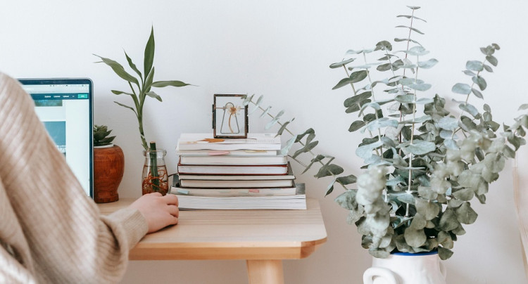 publier-un-livre.com_les-bonnes-pratiques-de-l-auteur-autoedite-votre-presence-en-ligne
