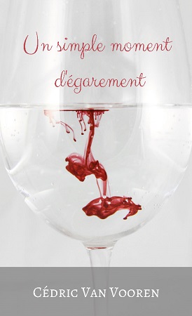 publier-un-livre.com_1011-un-simple-moment-d-egarement