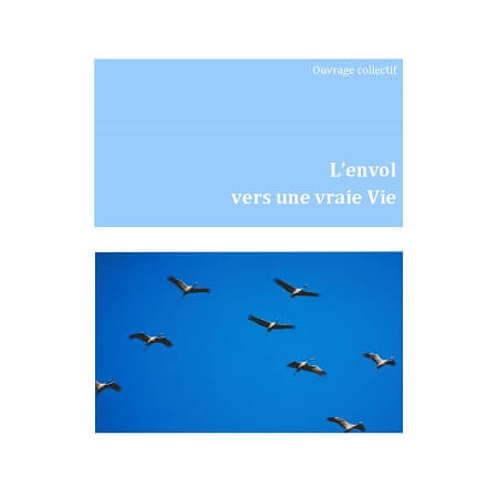 publier-un-livre.com_110-l-envol-vers-une-vraie-vie