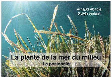 publier-un-livre.com_1122-la-plante-de-la-mer-du-milieu-la-posidonie