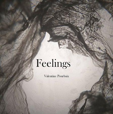 publier-un-livre.com_1191-feelings