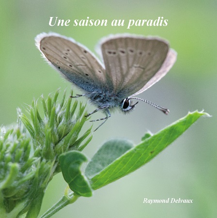 publier-un-livre.com_1237-une-saison-au-paradis