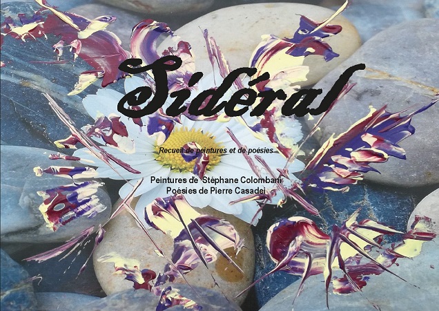 publier-un-livre.com_1289-sideral