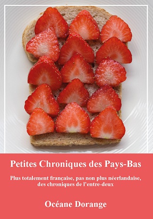 publier-un-livre.com_1374-petites-chroniques-des-pays-bas