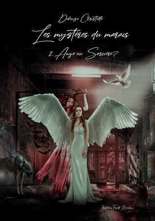 publier-un-livre.com_1522-les-mysteres-du-marais-tome-2-ange-ou-sorciere