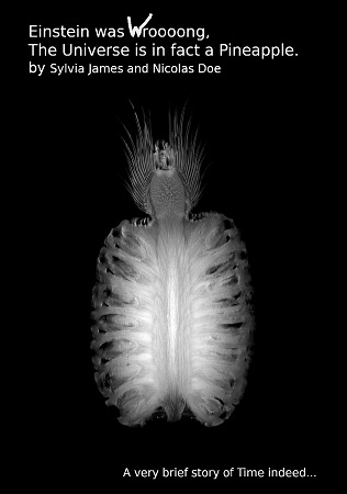 publier-un-livre.com_1548-einstein-was-wroooong-the-universe-is-in-fact-a-pineapple