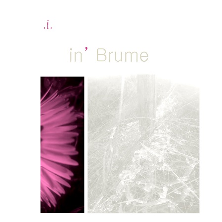 publier-un-livre.com_1638-in-brume