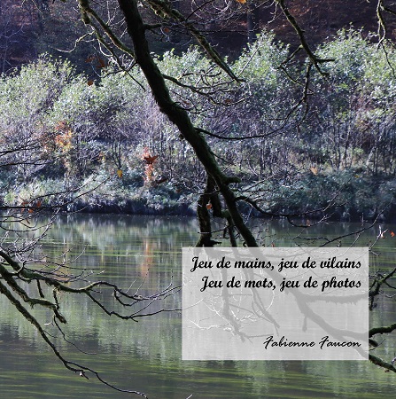 publier-un-livre.com_1862-jeu-de-mains-jeu-de-vilains-jeu-de-mots-jeu-de-photos