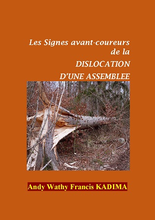 publier-un-livre.com_1922-les-signes-avant-coureurs-de-la-dislocation-d-une-assemblee