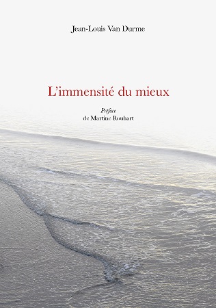 publier-un-livre.com_1927-l-immensite-du-mieux