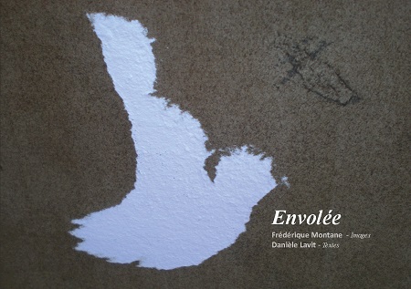 publier-un-livre.com_2019-envolee