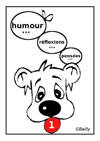 publier-un-livre.com_205-wifwafwouf-humour-pensees-et-reflexions