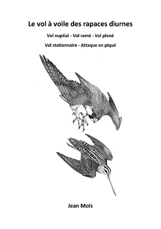 publier-un-livre.com_2098-le-vol-a-voile-des-rapaces-diurnes-vol-nuptial-vol-rame-vol-plane-vol-stationnaire-attaque-en-pique