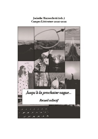 publier-un-livre.com_2127-jusqu-a-la-prochaine-vague
