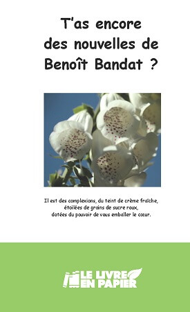 publier-un-livre.com_219-t-as-encore-des-nouvelles-de-benoit-bandat