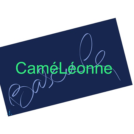 publier-un-livre.com_2211-cameleonne