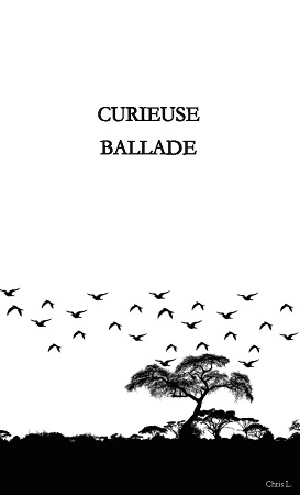 publier-un-livre.com_2239-curieuse-ballade