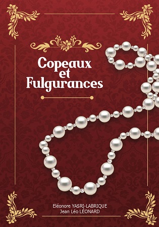 publier-un-livre.com_2271-copeaux-et-fulgurances