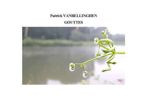 publier-un-livre.com_2275-gouttes