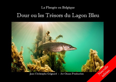 publier-un-livre.com_229-dour-ou-les-tresors-du-lagon-bleu