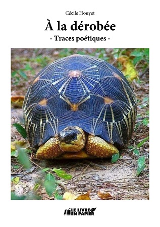publier-un-livre.com_2393-a-la-derobee