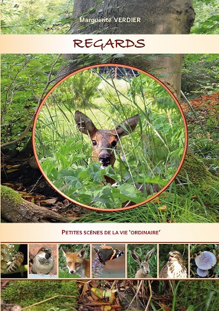publier-un-livre.com_2404-regards