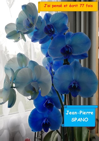 publier-un-livre.com_2412-j-ai-pense-et-ecrit-77-fois