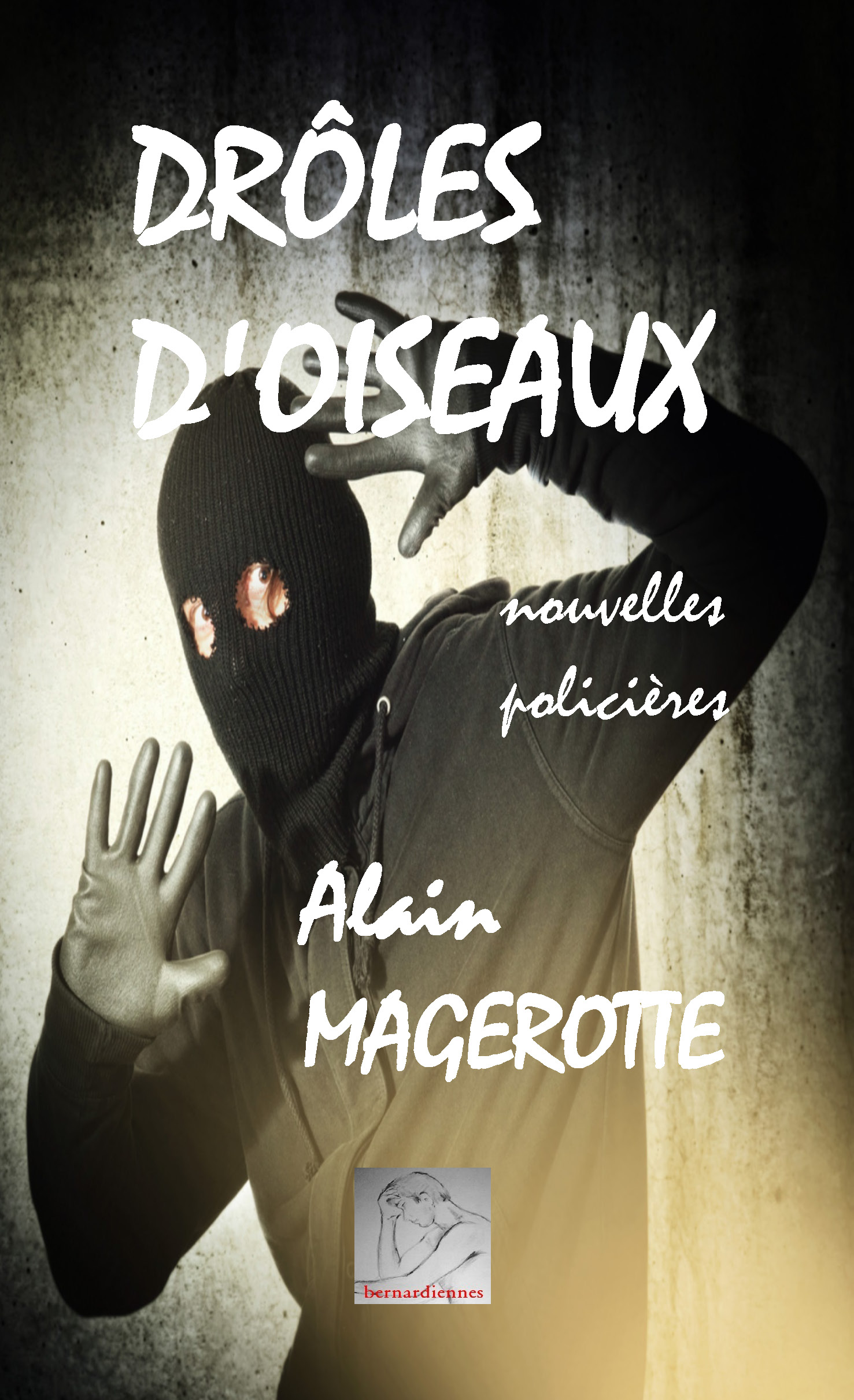 publier-un-livre.com_245-droles-d-oiseaux
