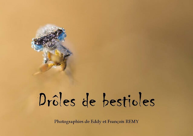 publier-un-livre.com_255-droles-de-bestioles