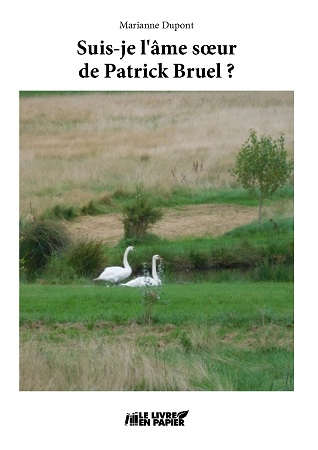 publier-un-livre.com_2596-suis-je-l-ame-soeur-de-patrick-bruel