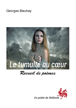 publier-un-livre.com_2616-le-tumulte-au-coeur