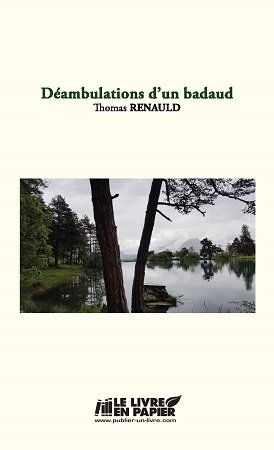 publier-un-livre.com_2653-deambulations-d-un-badaud