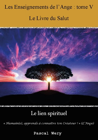 publier-un-livre.com_2683-les-enseignements-de-l-ange-tome-v-le-livre-du-salut