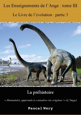 publier-un-livre.com_2685-les-enseignements-de-l-ange-tome-iii-la-prehistoire