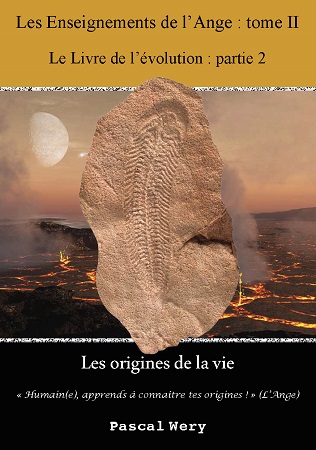 publier-un-livre.com_2686-les-enseignements-de-l-ange-tome-ii-les-origines-de-la-vie