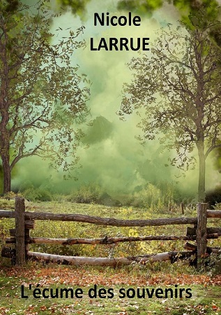 publier-un-livre.com_272-l-ecume-des-souvenirs