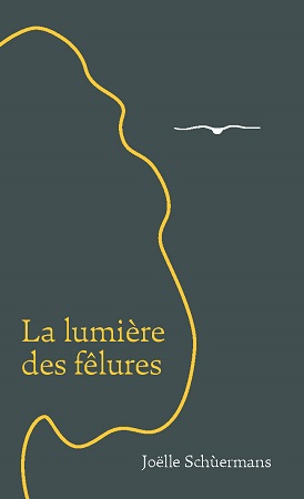 publier-un-livre.com_2853-la-lumiere-des-felures