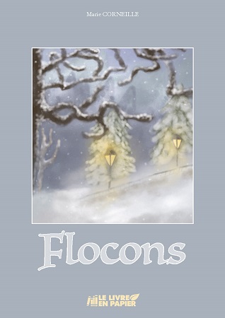 publier-un-livre.com_2918-flocons