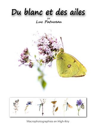 publier-un-livre.com_3029-du-blanc-et-des-ailes
