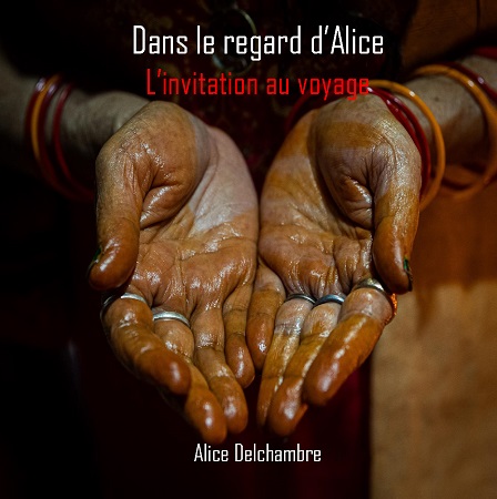 publier-un-livre.com_3037-dans-le-regard-d-alice-l-invitation-au-voyage