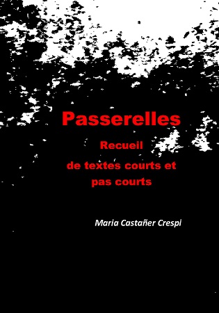 publier-un-livre.com_3077-passerelles-livre-en-noir-et-blanc