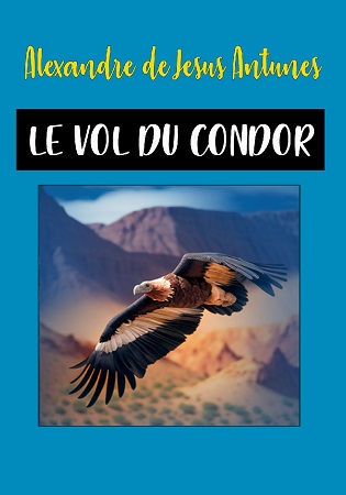 publier-un-livre.com_3134-le-vol-du-condor