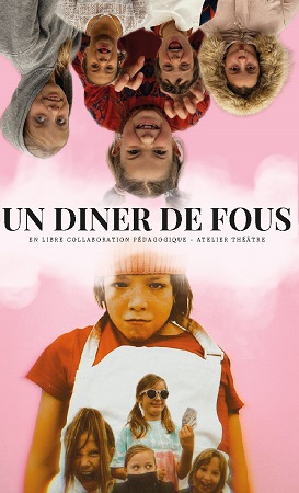 publier-un-livre.com_3267-un-diner-de-fous