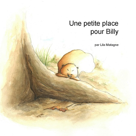 publier-un-livre.com_3298-une-petite-place-pour-billy