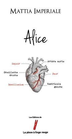 publier-un-livre.com_332-alice