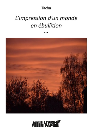 publier-un-livre.com_3393-l-impression-d-un-monde-en-ebullition
