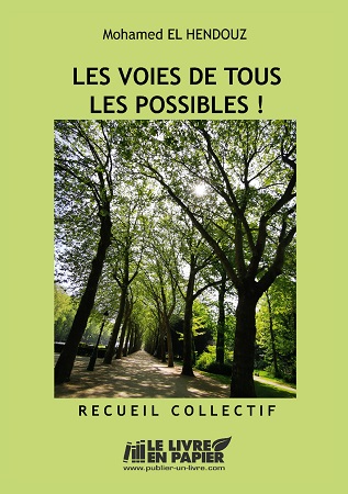 publier-un-livre.com_3398-les-voies-de-tous-les-possibles-recueil-collectif