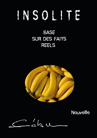 publier-un-livre.com_3416-insolite