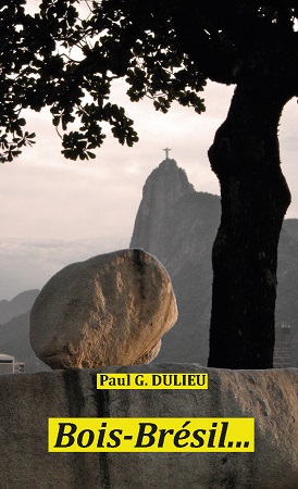 publier-un-livre.com_3425-bois-bresil