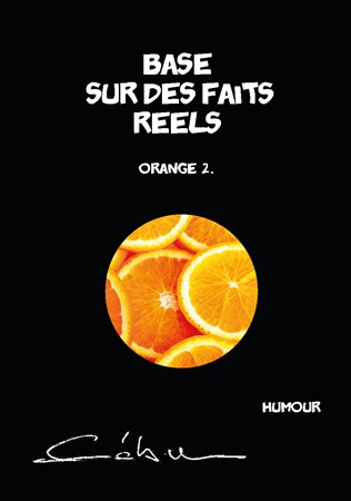 publier-un-livre.com_3495-orange